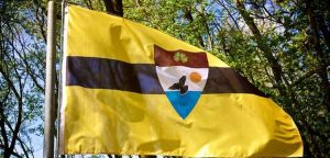 Либерленд намерен выпустить свою криптовалюту