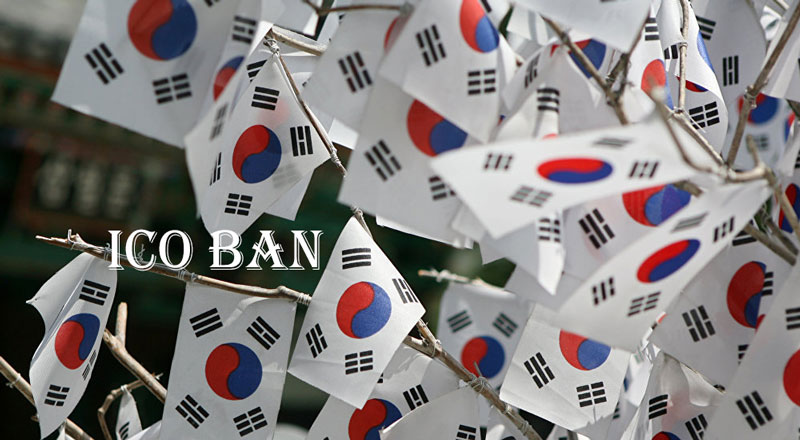 Запрет властей Южной Кореи не смог остановить поток новых токенов