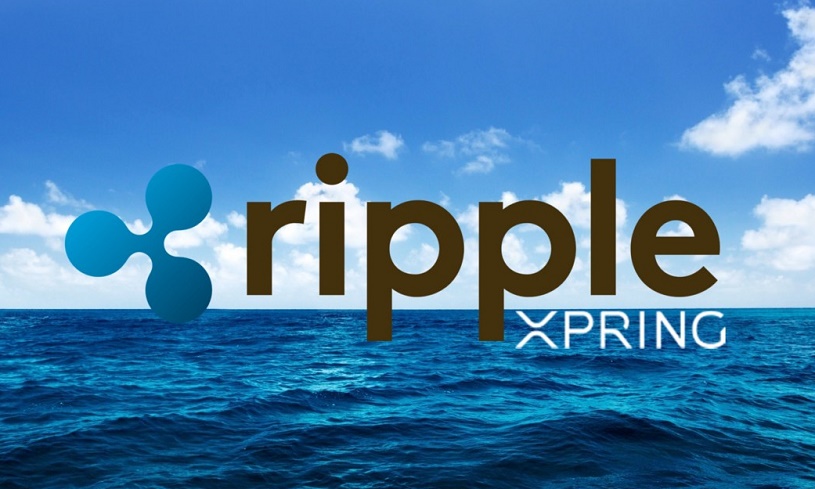 Ripple Xpring намерен открыть форум для связи с разработчиками