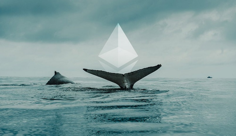 К Ethereum присоединилось 68 китов