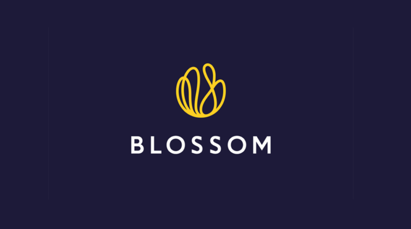 Blossom Capital открыла новый криптофонд