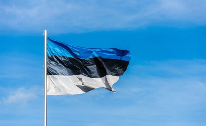Эстония ограничила выдачу онлайн-резидентства