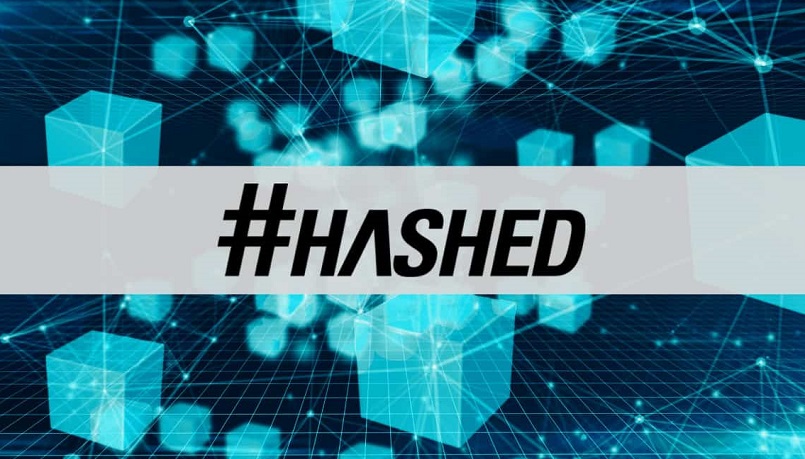 Компания Hashed потеряла $3,5 млрд.