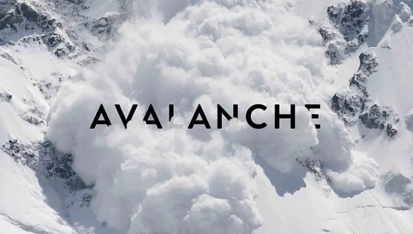 В Avalanche обнаружили и исправили критическую проблему