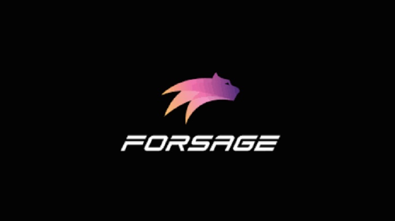 Создателей Forsage обвинили в организации криптопирамиды