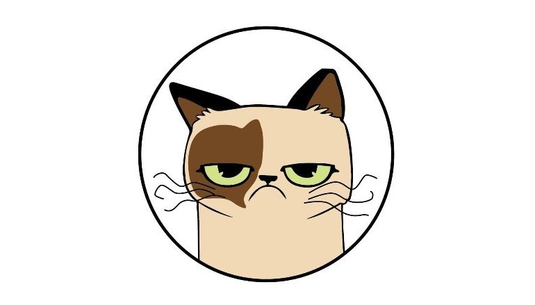 Создателя токена Grumpy Cat подозревают в нарушении авторских прав