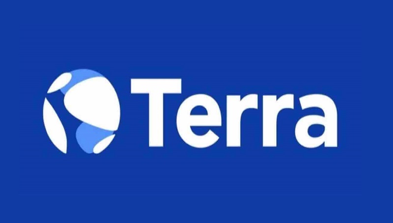 Организация Terraform Labs объявила о банкротстве