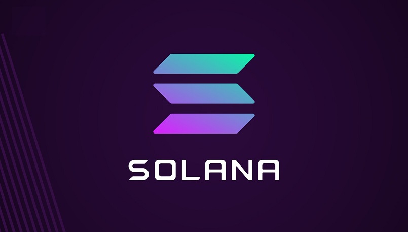 Сеть Solana самая популярная среди инвесторов