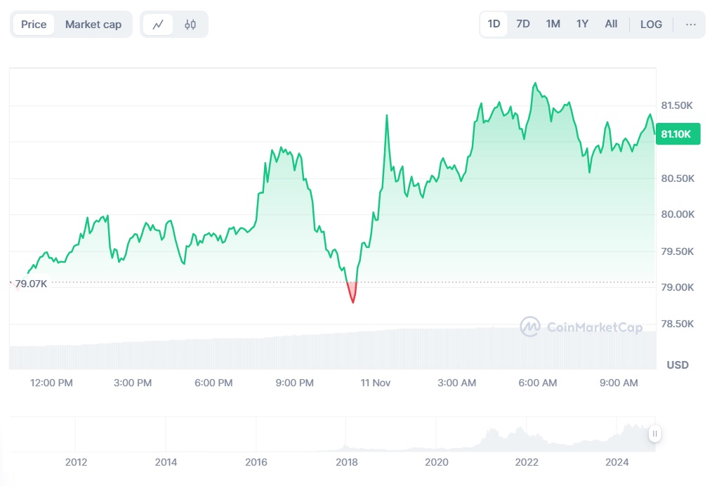 Курс биткоина обновил исторический максимум на отметке $81 103