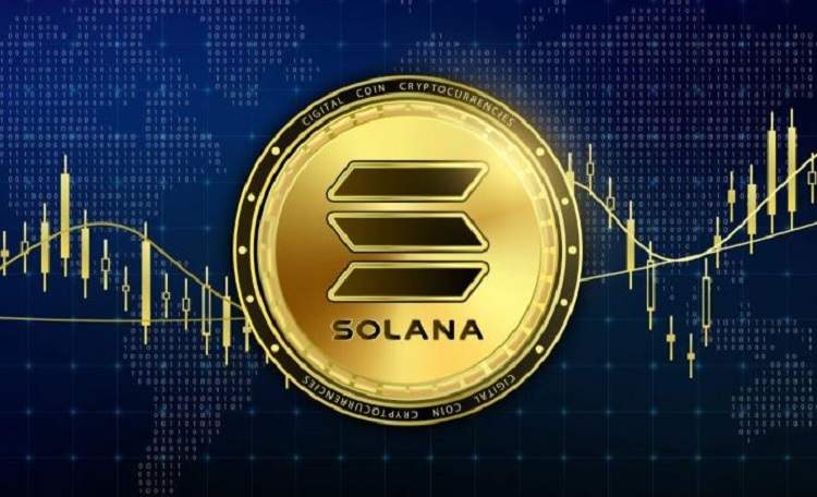 Кит поставил на рост курса Solana до $400