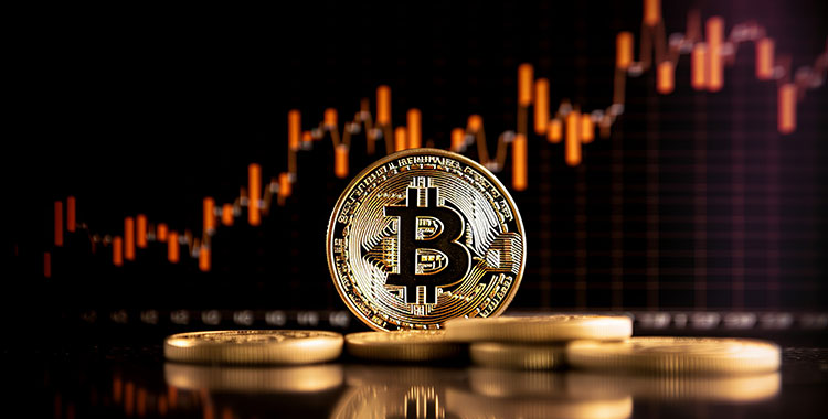 изображение_2026-03-25_162121242